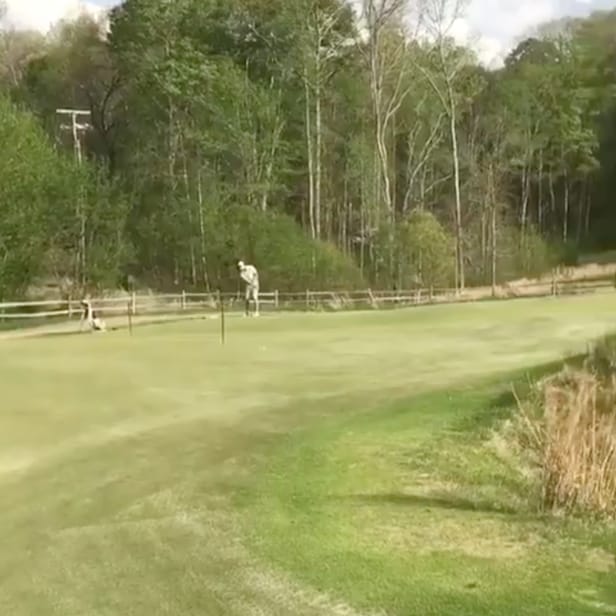 Feast your eyes on possibly the longest, and definitely most impressive